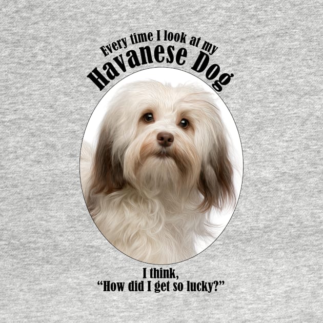 Havanese Dog Traits by You Had Me At Woof